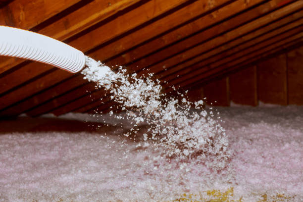 Types of Insulation We Offer in WI