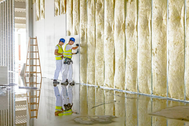 Best Types of Insulation in Weyauwega, WI
